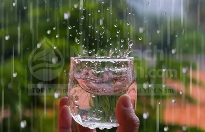 Trong nước mưa có chứa chất gì? Nước mưa có thật sự sạch để sử dụng?