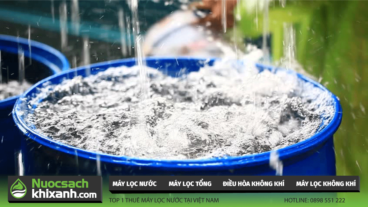 Các cách xử lý nguồn nước bị ô nhiễm sau mùa mưa