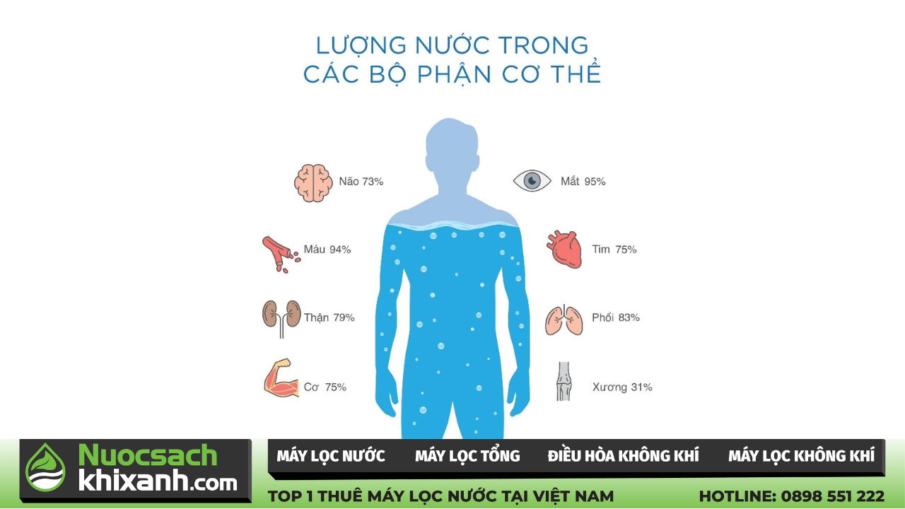 Tầm quan trọng của nước - Uống nước nào tốt nhất?